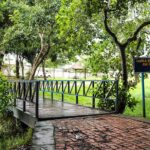 Parque da Maternidade recebe ação de limpeza e manutenção das passarelas