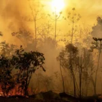 Dados do Inpe apontam que em uma semana 15 focos de queimadas foram registrados no Acre